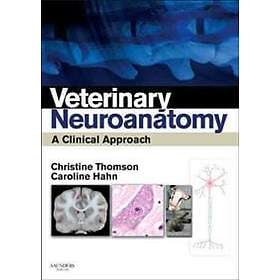Christine Thomson: Veterinary Neuroanatomy
