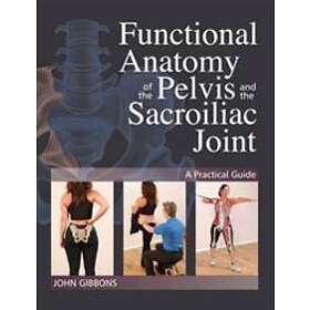 John Gibbons: Functional Anatomy of the Pelvis and Sacroiliac Joint