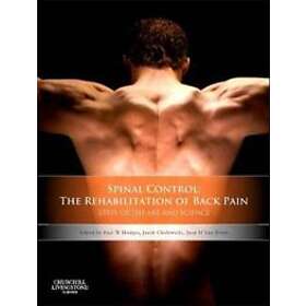 Paul W Hodges: Spinal Control: The Rehabilitation of Back Pain