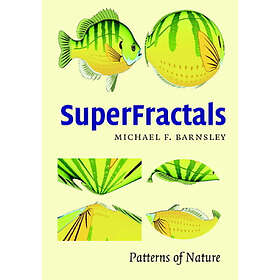 Michael Fielding Barnsley: SuperFractals
