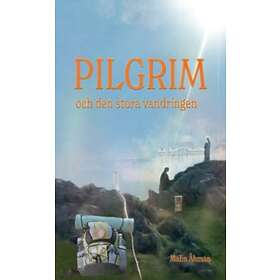 Malin Åhman: Pilgrim och den stora vandringen En självupplevd själslig upptäcktsresa på pilgrimsvägen till Santiago de Compostela Rom
