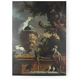 Art For The Home Canvas Menageriet 70x100 cm