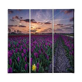 Homemania blomster-3 rums-natur och landskap-för vardagsrum, sovrum-flerfärgad, 69 X 3 X 50cm-HM203PKNV-202, polyester, trä