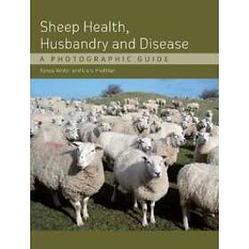 Agnes C Winter: Sheep Health, Husbandry and Disease