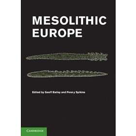 Geoff Bailey: Mesolithic Europe