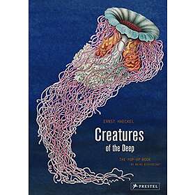 Ernst Haeckel, Maike Biederstaedt: Creatures of the Deep