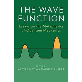 David Albert: The Wave Function