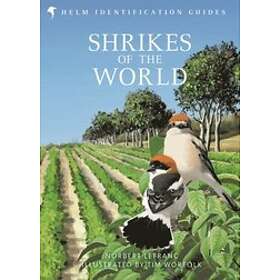 Norbert Lefranc: Shrikes of the World