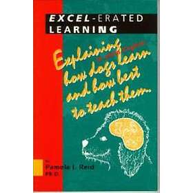 Pamela Reid: Excel-Erated Learning