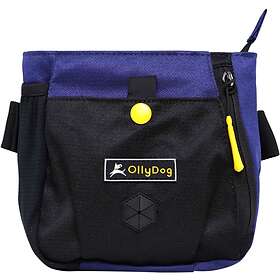 OllyDog Backcountry DayBag Atlantic