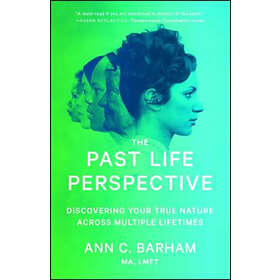 Ann C Barham: Past Life Perspective