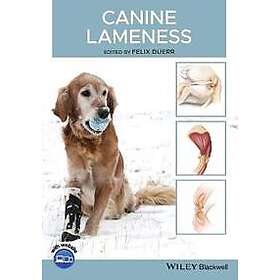 F Duerr: Canine Lameness