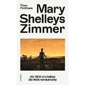 Timo Feldhaus: Mary Shelleys Zimmer