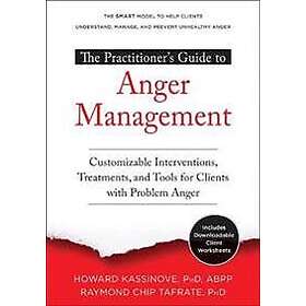 Howard Kassinove: The Practitioner's Guide to Anger Management