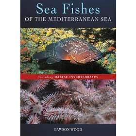 Sea Fishes Of The Mediterranean Including Marine Invertebrates