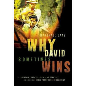 Marshall Ganz: Why David Sometimes Wins