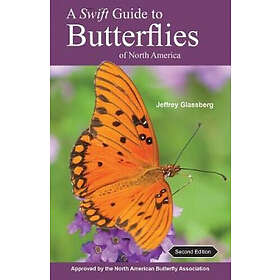 Jeffrey Glassberg: A Swift Guide to Butterflies of North America