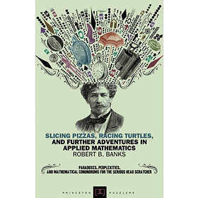Robert B Banks: Slicing Pizzas, Racing Turtles, and Further Adventures in Applied Mathematics
