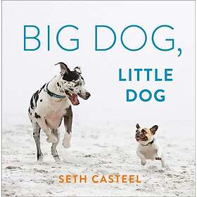 Seth Casteel: Big Dog, Little Dog