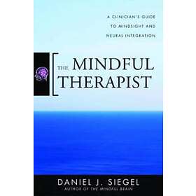 Daniel J Siegel: The Mindful Therapist