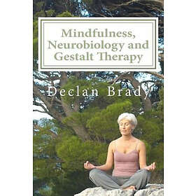Declan Brady: Mindfulness, Neurobiology and Gestalt Therapy