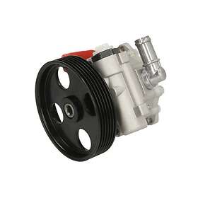 Lauber Styrservopump 55.1219