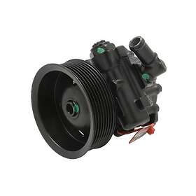 Lauber Styrservopump 55.4287