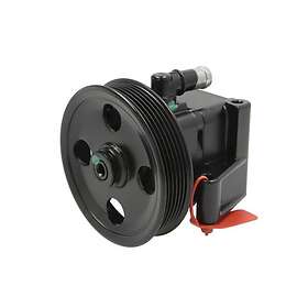 Lauber Styrservopump 55.4306