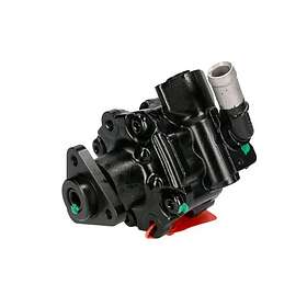 Lauber Styrservopump 55.4317