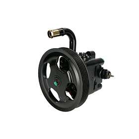 Lauber Styrservopump 55.4282