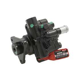 Lauber Styrservopump 55.4293