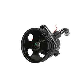Lauber Styrservopump 55.0368