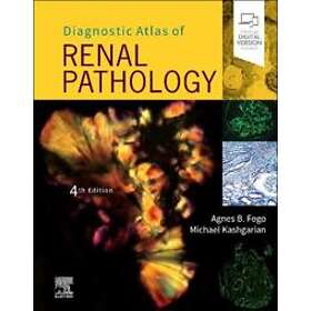 Agnes B Fogo: Diagnostic Atlas of Renal Pathology