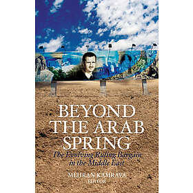 Mehran Kamrava: Beyond the Arab Spring