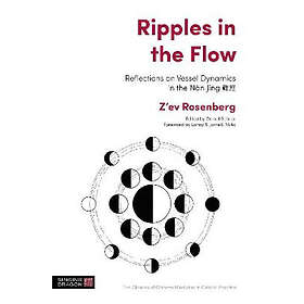 Z'ev Rosenberg, Daniel Schrier: Ripples in the Flow