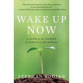 Stephan Bodian: Wake Up Now