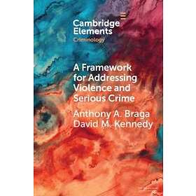 Anthony A Braga: A Framework for Addressing Violence and Serious Crime