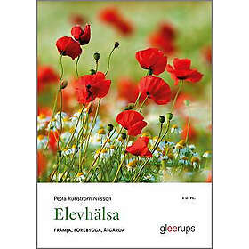 Petra Runström Nilsson: Elevhälsa främja, förebygga, åtgärda