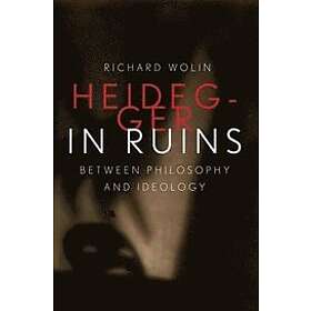 Richard Wolin: Heidegger in Ruins