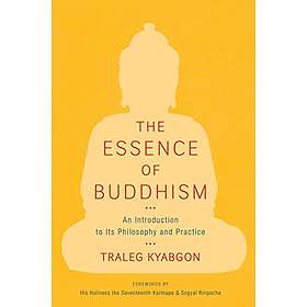 Traleg Kyabgon: The Essence of Buddhism