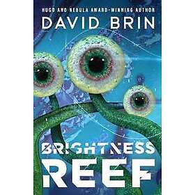 David Brin: Brightness Reef
