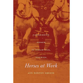 Ann Norton GREENE: Horses at Work