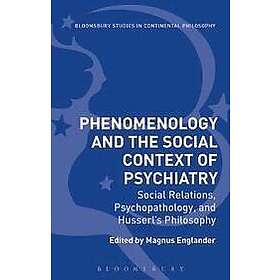Magnus Englander: Phenomenology and the Social Context of Psychiatry