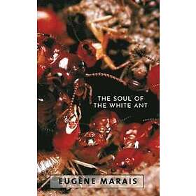 Eugene N Marais: The Soul of the White Ant
