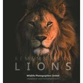 : Remembering Lions