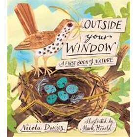 Nicola Davies: Outside Your Window: A First Book of Nature