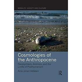 Arne Johan Vetlesen: Cosmologies of the Anthropocene