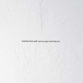 Prairie - And The Bird Said.. LP