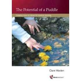 : Potential of a Puddle