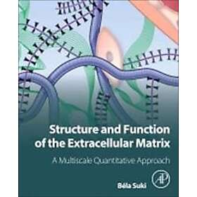 Bela Suki: Structure and Function of the Extracellular Matrix